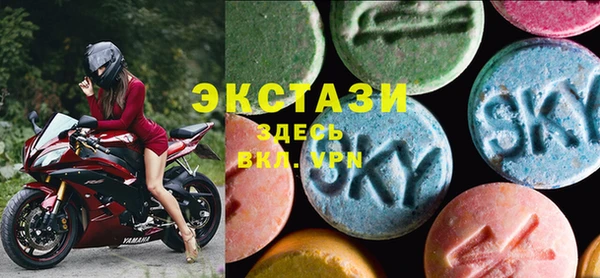 амф Ельня