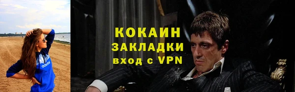 амф Ельня