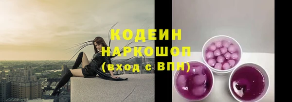 амф Ельня