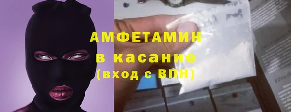 амф Ельня