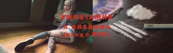 амф Ельня