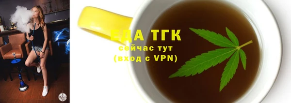 амф Ельня