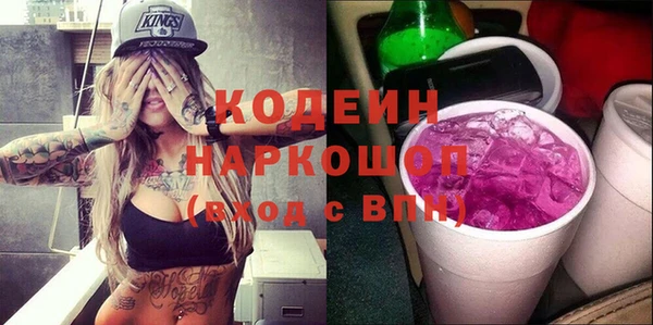 амф Ельня
