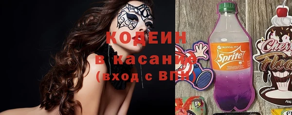 амф Ельня