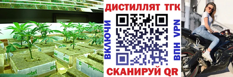 как найти закладки  Себеж  Дистиллят ТГК Wax 