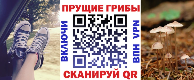 Псилоцибиновые грибы мицелий  мега онион  дарк нет состав  наркошоп  Себеж 