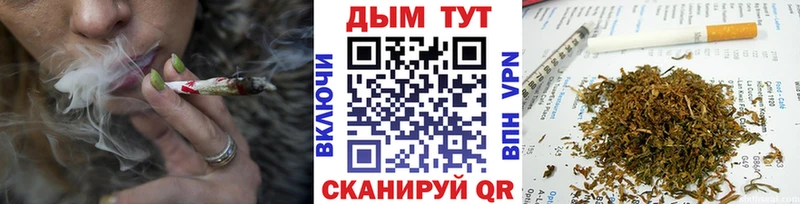 Каннабис ГИДРОПОН  Себеж 